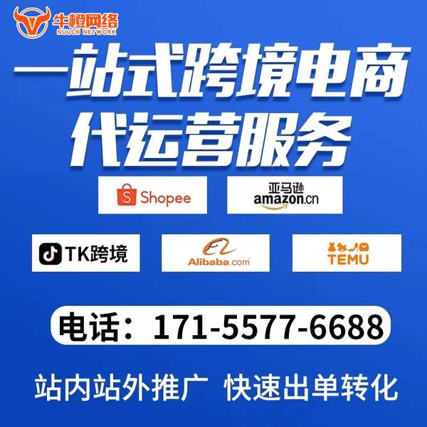 开封电商代运营